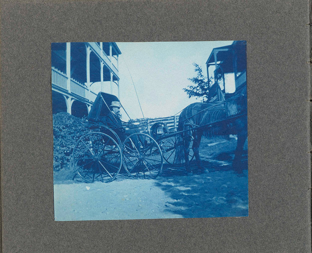 Detail of Man in a carriage with horse, USA by Anonymous