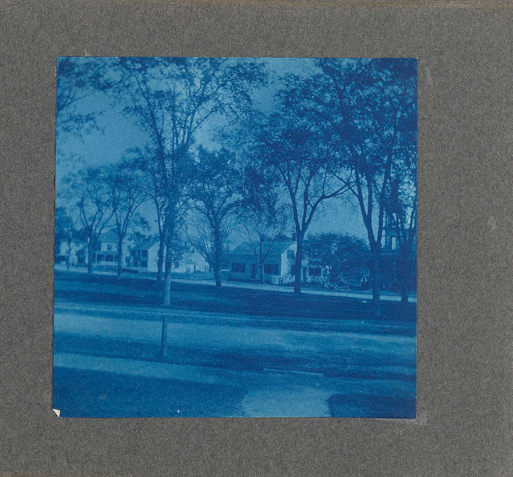 Detail of Wooden houses with trees, USA by Anonymous