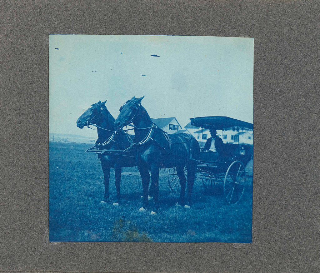 Detail of Man in a carriage with two horses, USA by Anonymous
