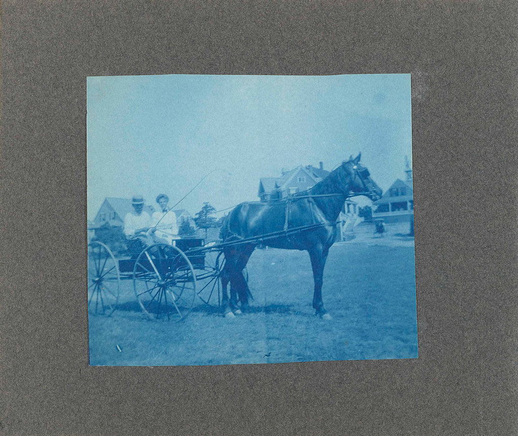 Detail of Man and a woman in a carriage with horse, USA by Anonymous