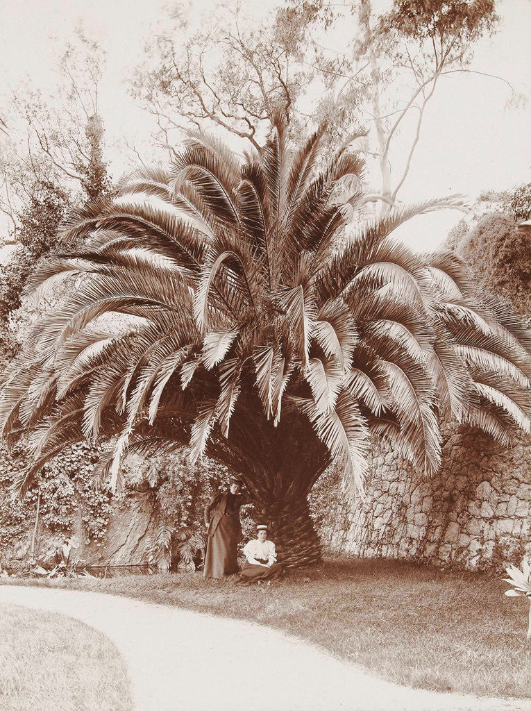 Detail of Two women under a palm tree by Henry Pauw van Wieldrecht