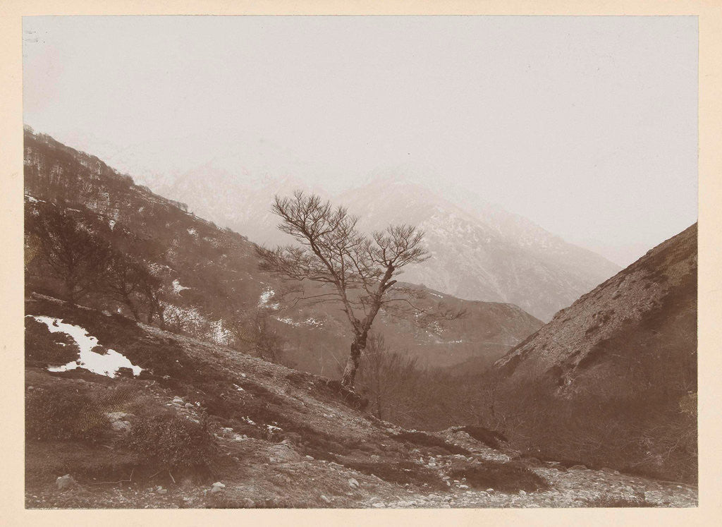 Detail of Mountain landscape with bare tree and some snow, Italy or France by Henry Pauw van Wieldrecht
