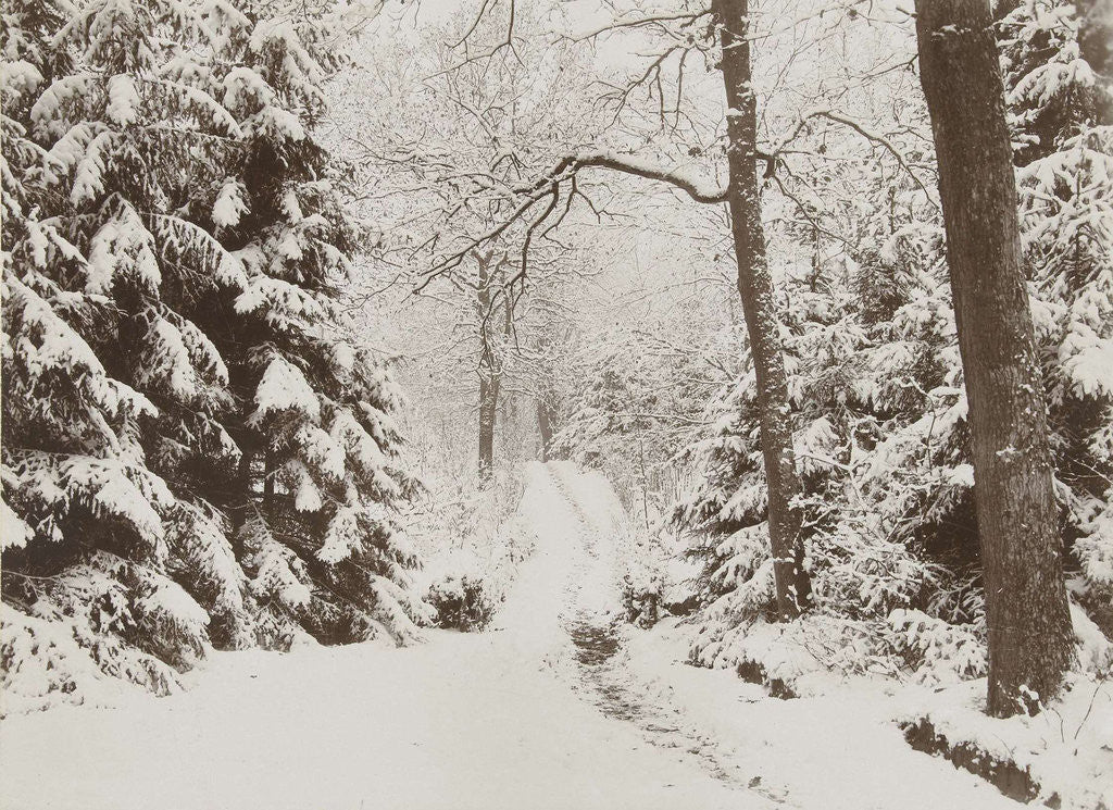 Detail of snowy forest by Henry Pauw van Wieldrecht