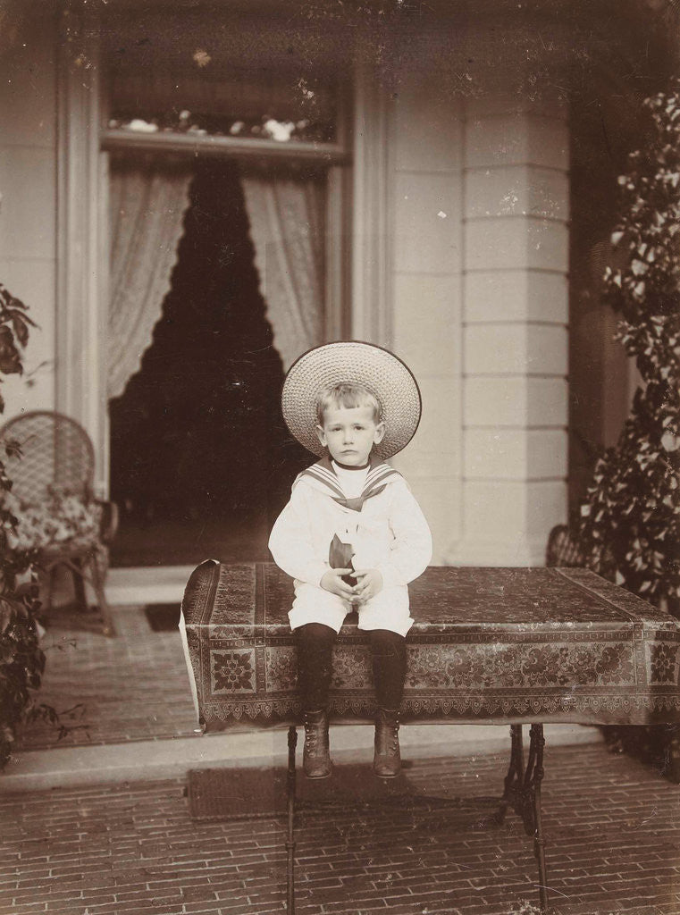 Detail of Portrait of Reinier Pauw van Wieldrecht sitting on a table by Henry Pauw van Wieldrecht