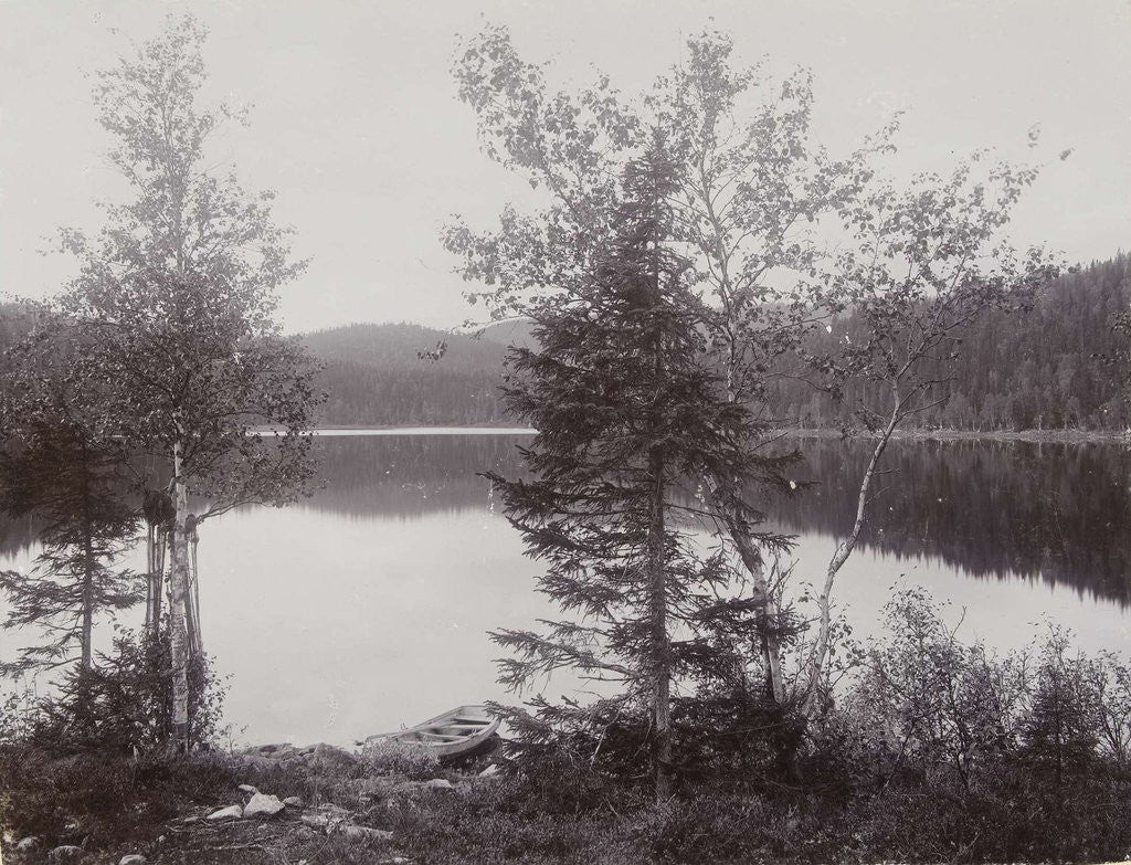 Detail of Trees Lakeside (Norway?) by Henry Pauw van Wieldrecht