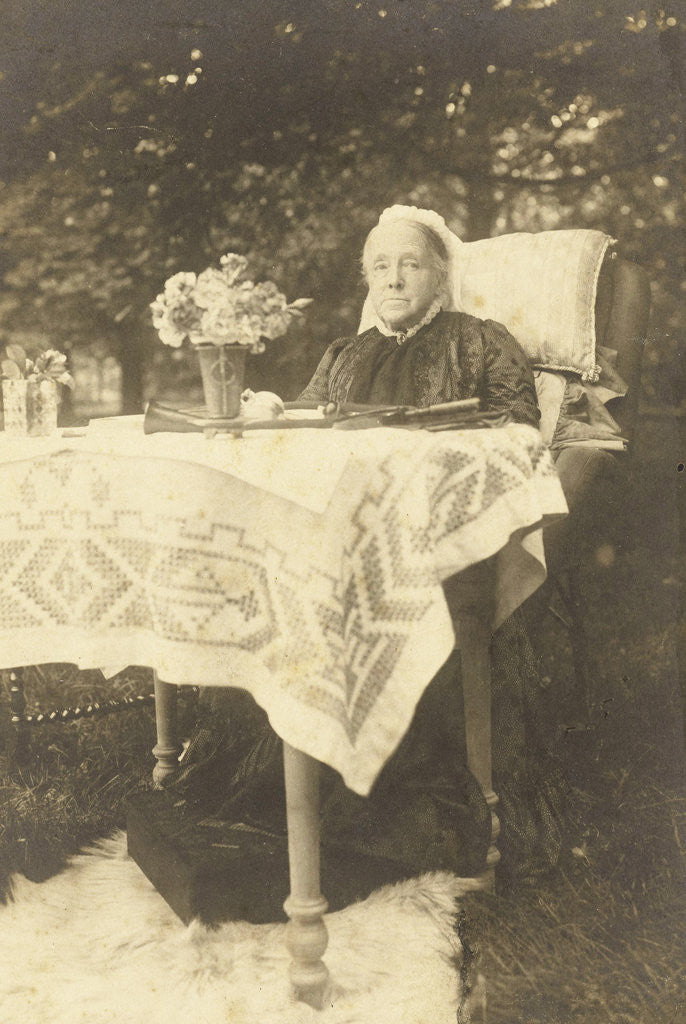 Detail of Portrait of Anna Cornelia Aletta Voombergh (1828-1913), the mother of the photographer by Henry Pauw van Wieldrecht