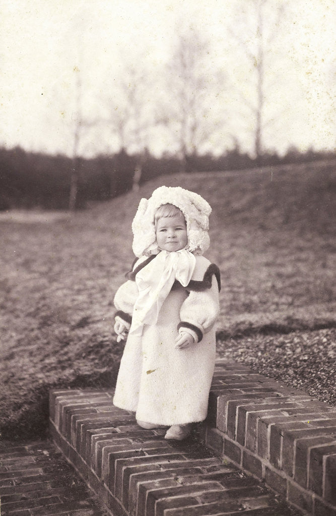 Detail of Portrait of Irene Pauw van Wieldrecht, a daughter of the photographer by Henry Pauw van Wieldrecht