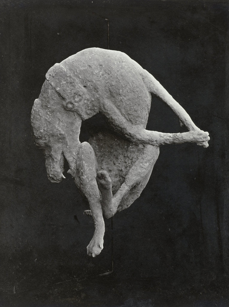 Detail of Pompeii impronte, Italy by Giorgio Sommer