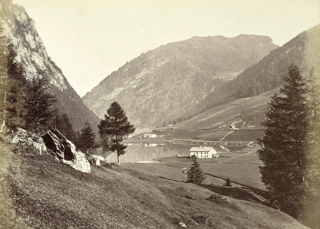 Detail of Brenner by Anonymous