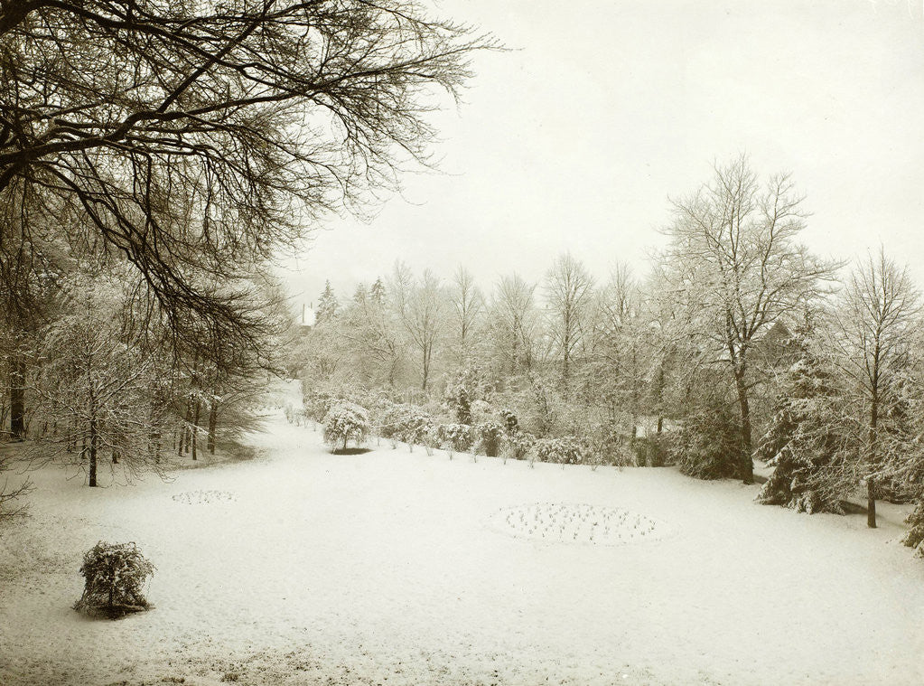 Detail of The park at the manor Wildbaan, Driebergen, in the snow by Anonymous