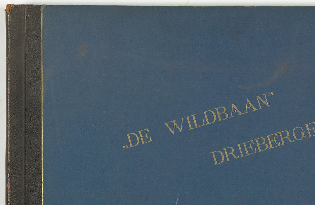 Detail of The Wildbaan, Driebergen, 1903-1907 by Henry Pauw van Wieldrecht