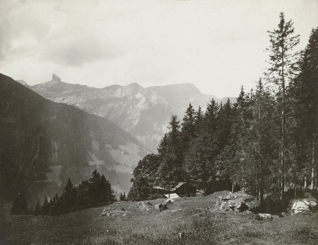 Detail of Mountain landscape by Anonymous