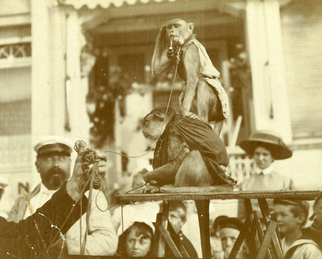 Detail of Two monkeys with spectators by Anonymous