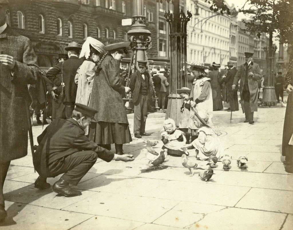 Detail of Pigeons enter a town by Anonymous