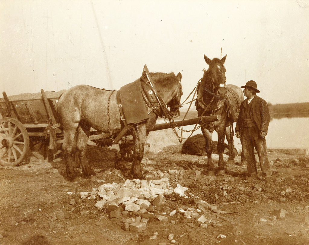 Detail of Two horses, a cart and a man in a trench by Anonymous