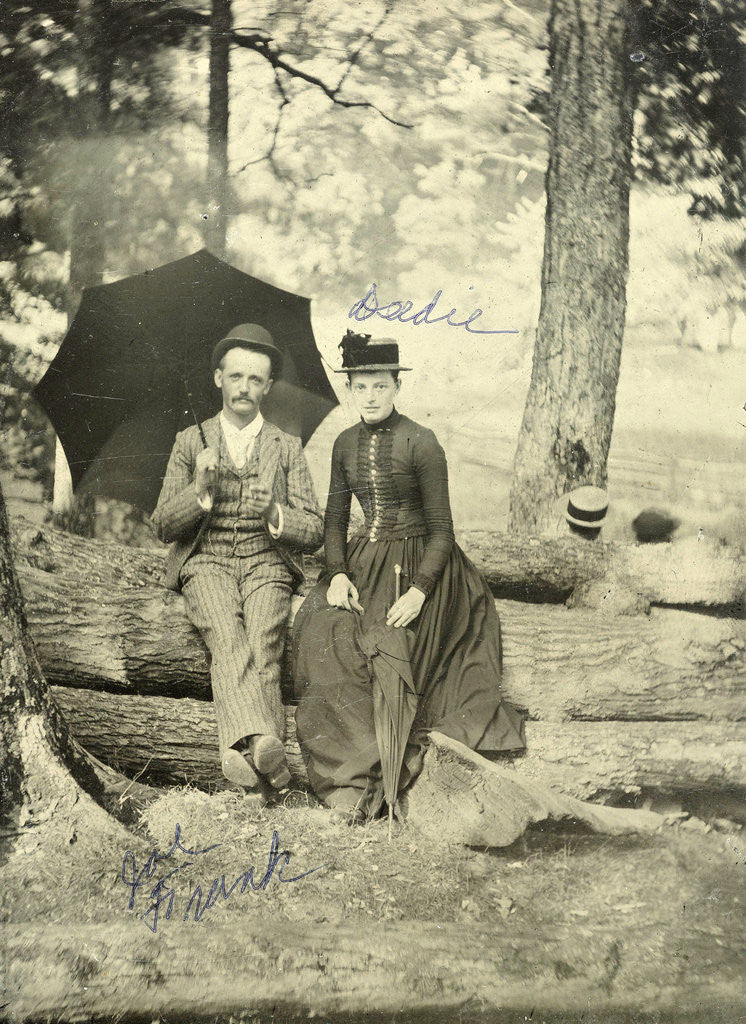 Detail of Portrait of a man and a woman sitting on tree trunks in a forest by Anonymous