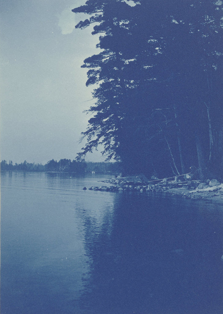 Detail of Sight over a lake by Anonymous