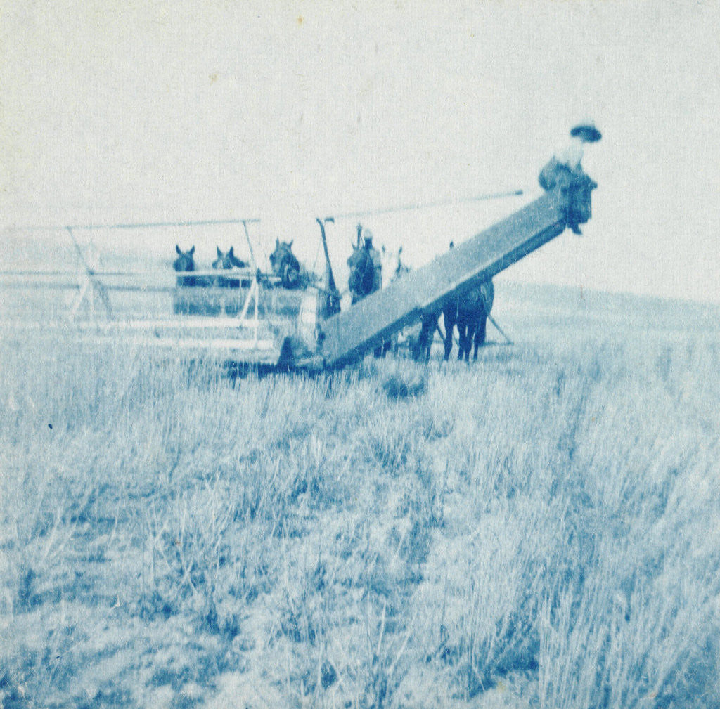 Detail of Farmers in a combine harvester, waiting laadkar by Anonymous