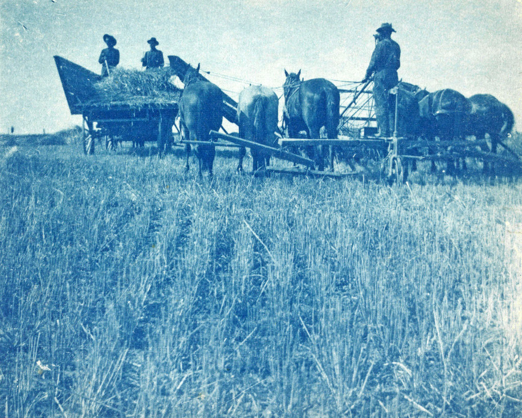 Detail of Farmers with a combine harvester pulled by horses by Anonymous