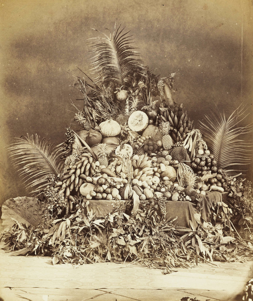 Detail of Still Life with exotic fruits by John Thomson