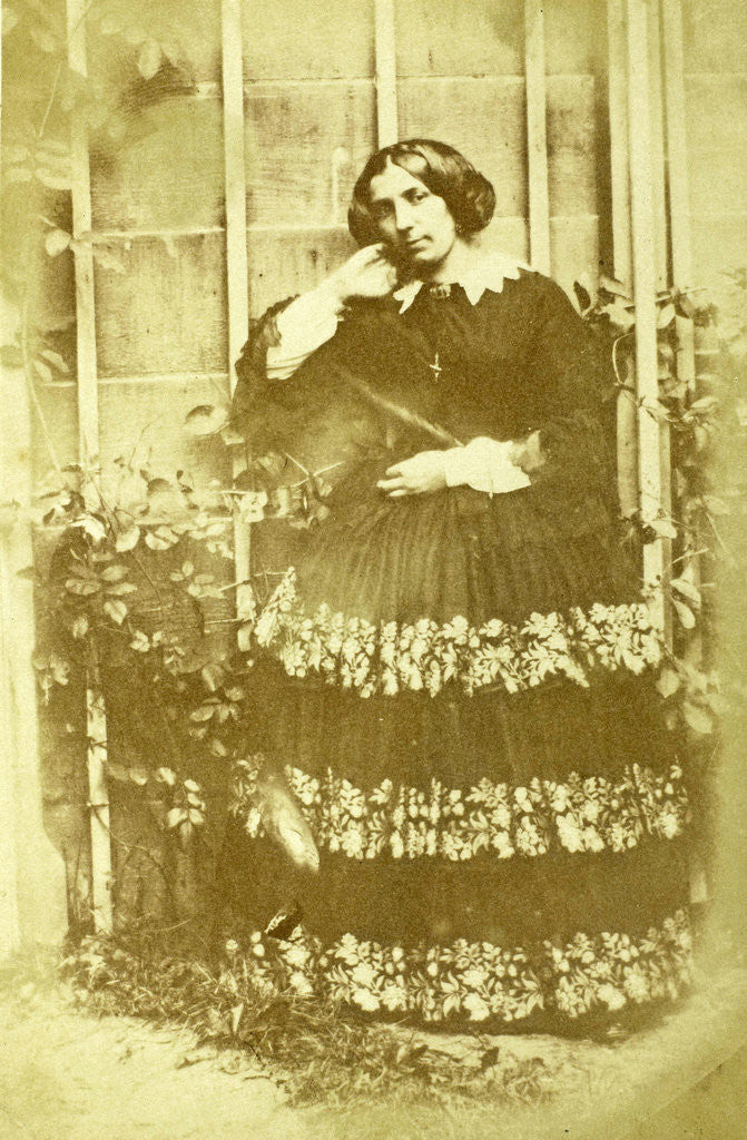 Detail of Portrait of a woman in a garden by Eduard Isaac Asser