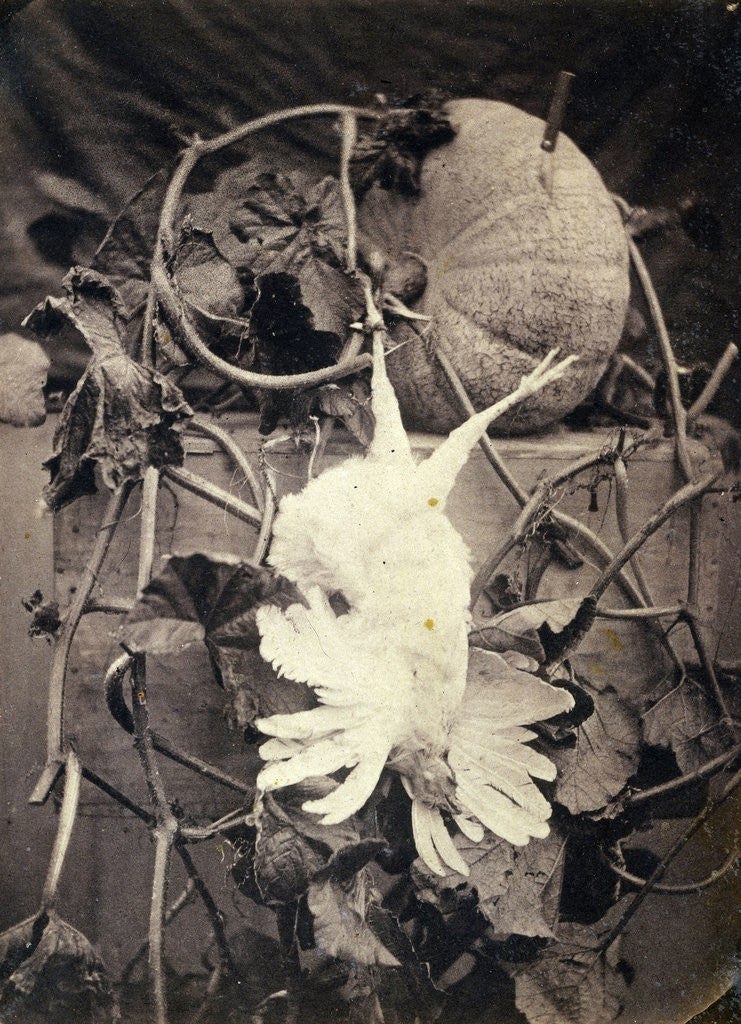 Detail of Medialab added this work to Course Experimental Photography by Eduard Isaac Asser