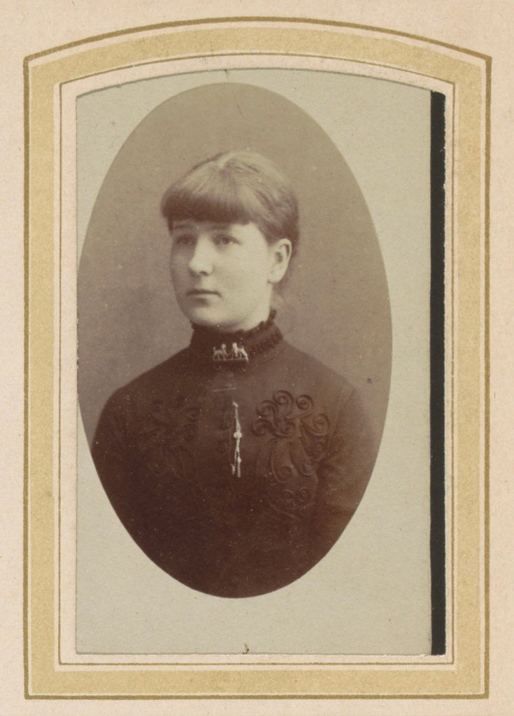 Detail of Portrait of a young woman with a brooch by Franz Reissig