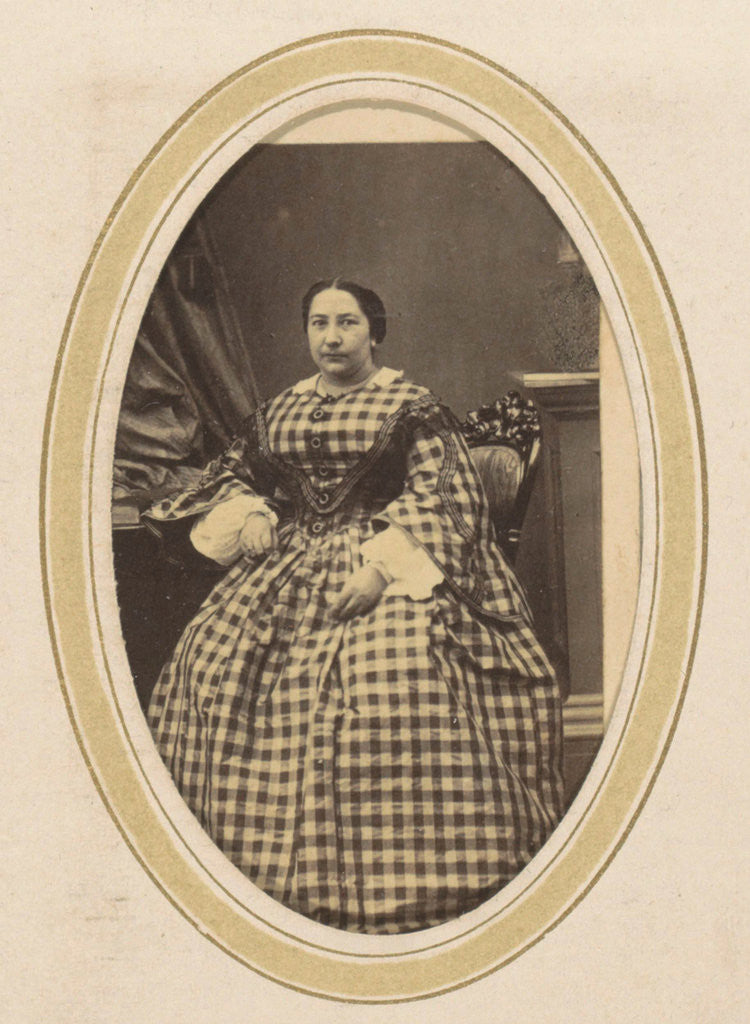 Detail of Portrait of a woman in a plaid dress by N. Hense