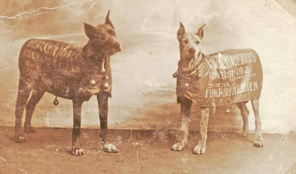 Detail of Portrait two dogs toymaker with advertising copy for perfumeries by Anonymous