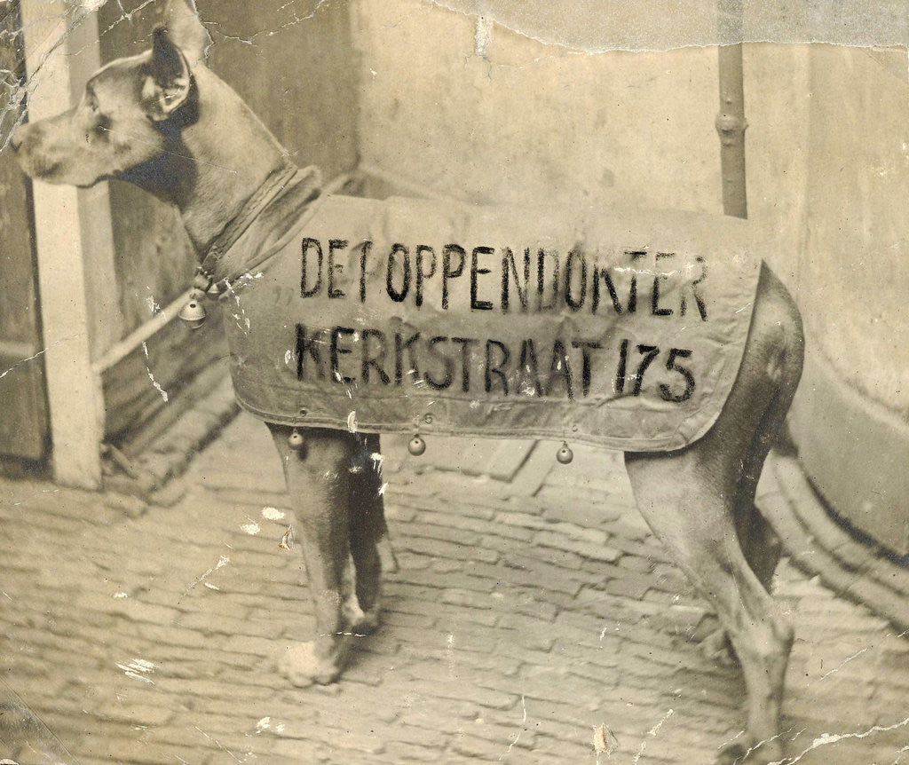 Detail of Portrait dog toymaker with advertising text by Anonymous