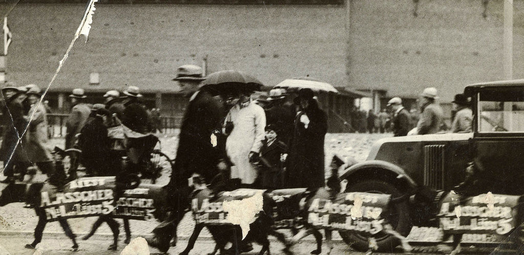 Detail of Amsterdam, stud dogs with advertisement and public in the rain, Asscher list of 5 by Anonymous