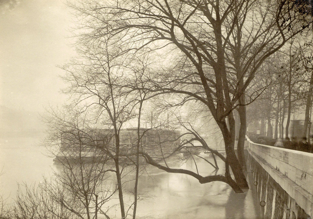 Detail of Flooded Seine River with trees, boats and public during flooding of Paris, France by Anonymous