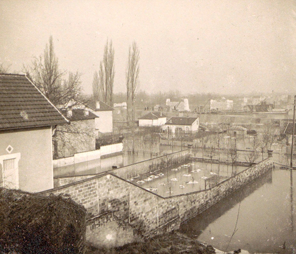 Detail of Houses and gardens in a flooded suburb of Paris, France by Anonymous