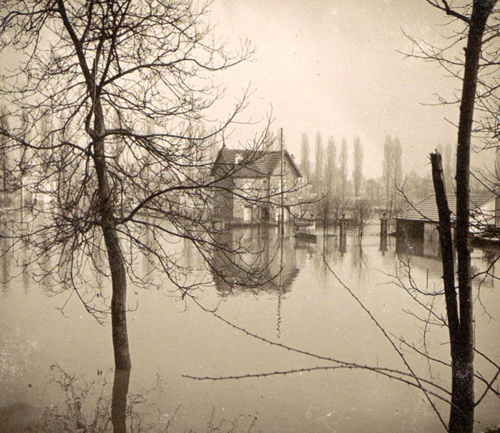 Detail of Houses in flooded suburb of Paris seen through bare trees, France by Anonymous