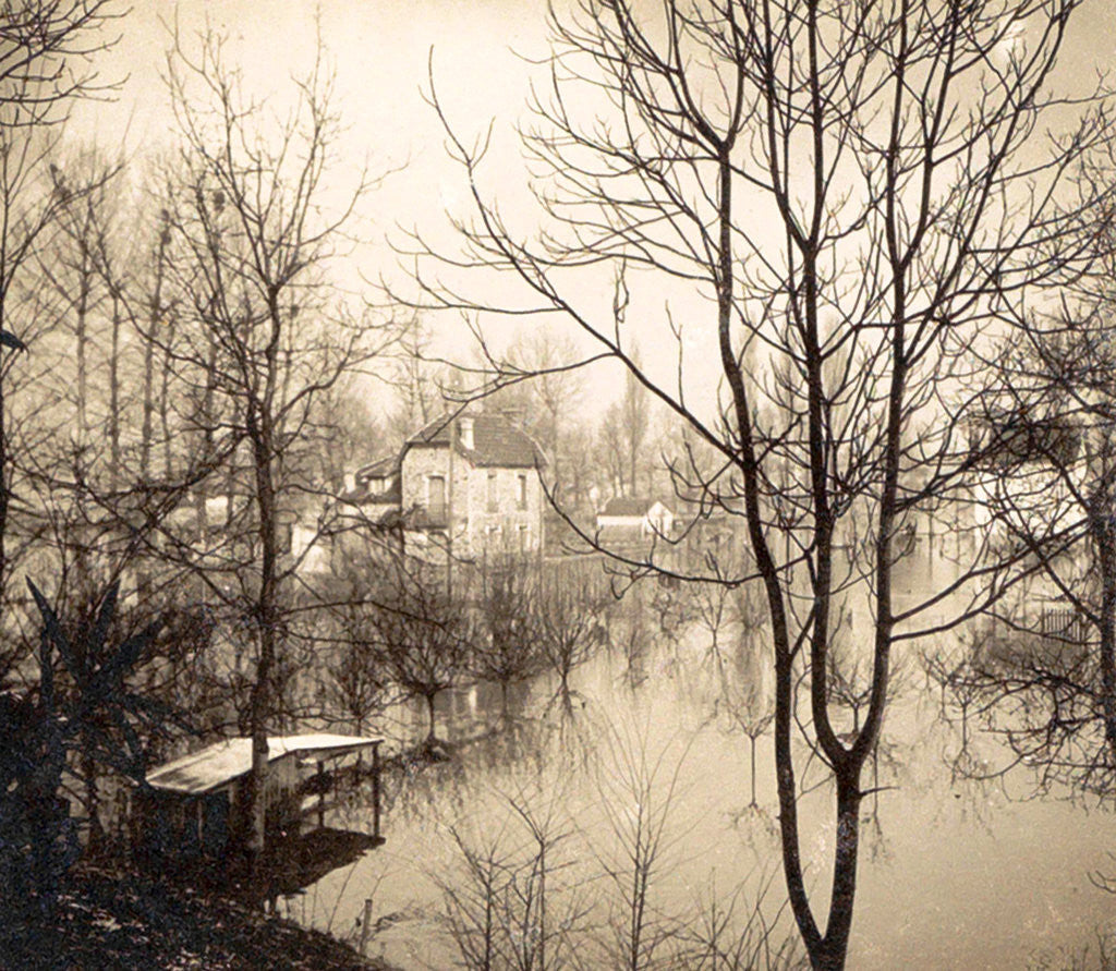 Detail of house flooded suburb of Paris seen through bare trees, France by Anonymous