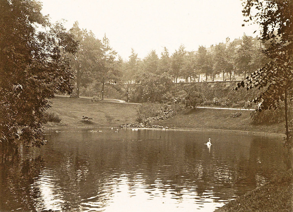 Detail of Pond in a park, presumably in Laeken by Anonymous