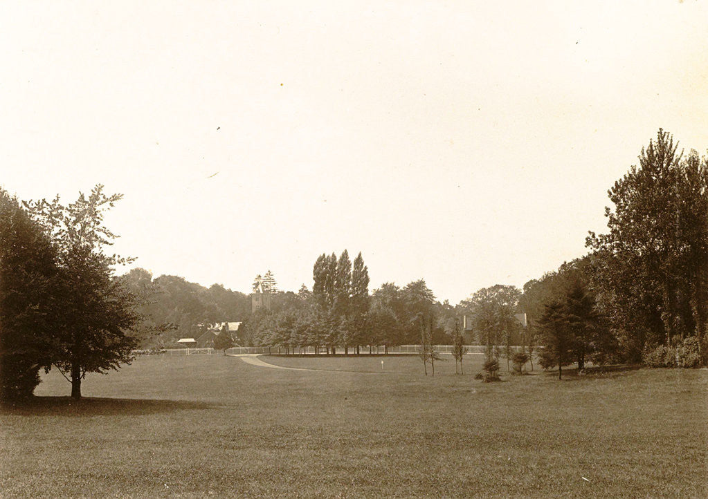 Detail of trees in a park, presumably in Laeken Brussel Belgium by Anonymous