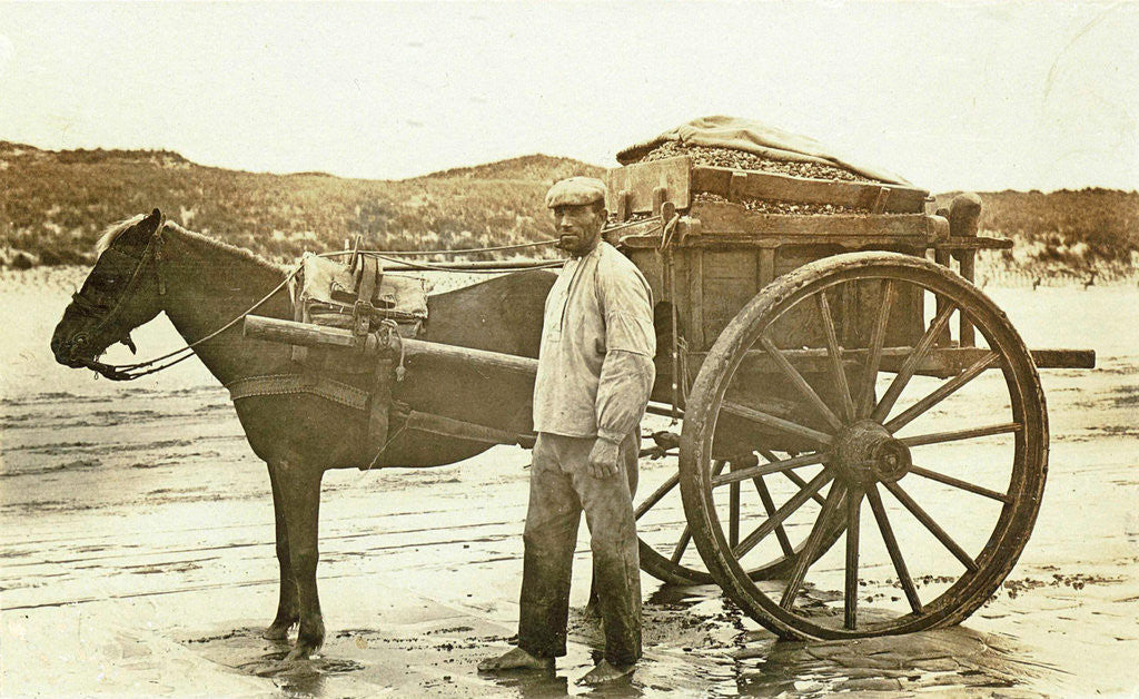 Detail of Man with A shell on the beach by Anonymous
