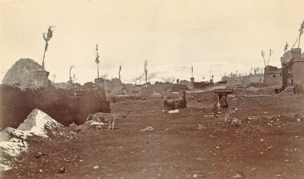 Detail of Street with houses in the town during the summer Pharijong, Tibet by D.T. Dalton