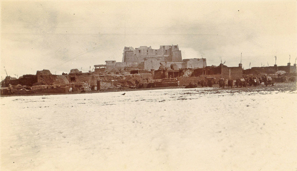 Detail of Fort Phari seen from the west with surrounding houses and beasts of burden by D.T. Dalton
