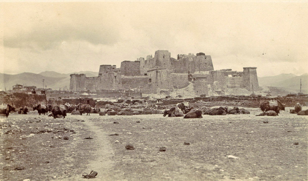 Detail of DT Dalton through Tibet by D.T. Dalton