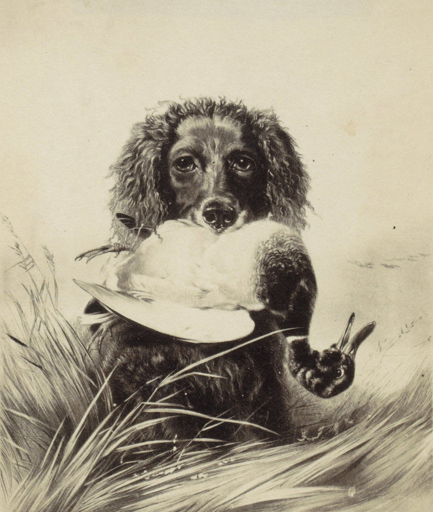 Detail of print of a painting by Richard Ansdell by Anonymous