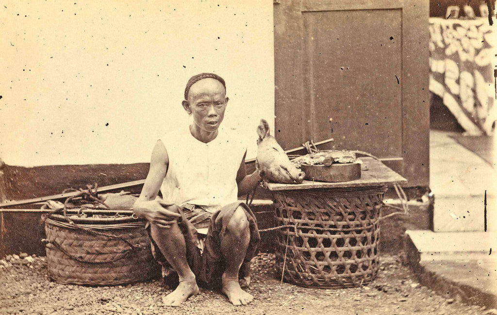 Detail of Portrait of an Indian butcher with pig's head, Woodbury & Page, Walter Bentley Woodbury by James Page