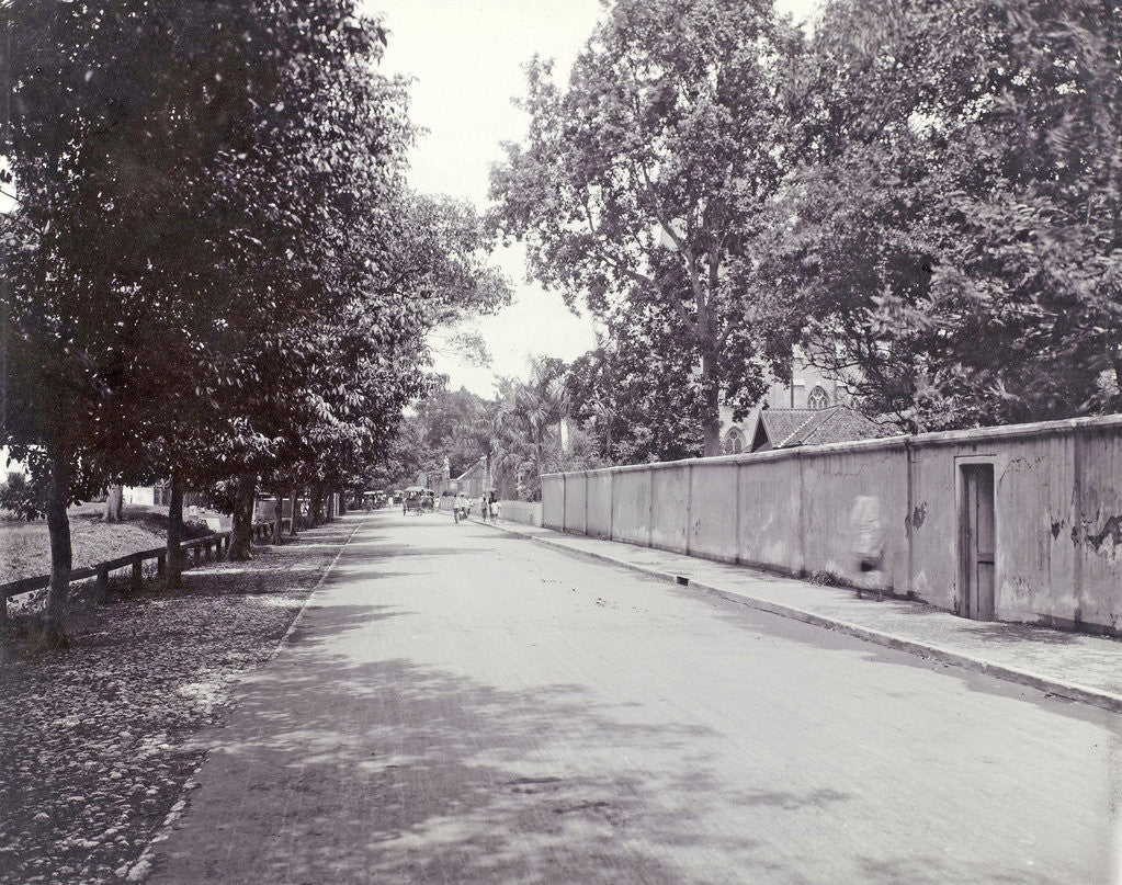 Detail of Road along the Roman Catholic Church of Surabaya by Anonymous