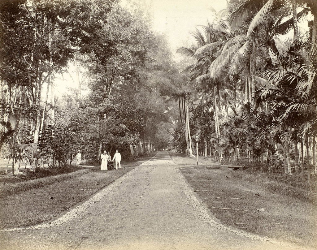 Detail of European and Indian people along an avenue in the Dutch East Indies by Anonymous