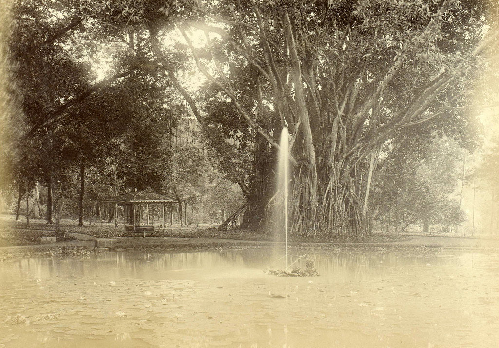 Detail of Park with a pond with a big tree in the Dutch East Indies by Anonymous