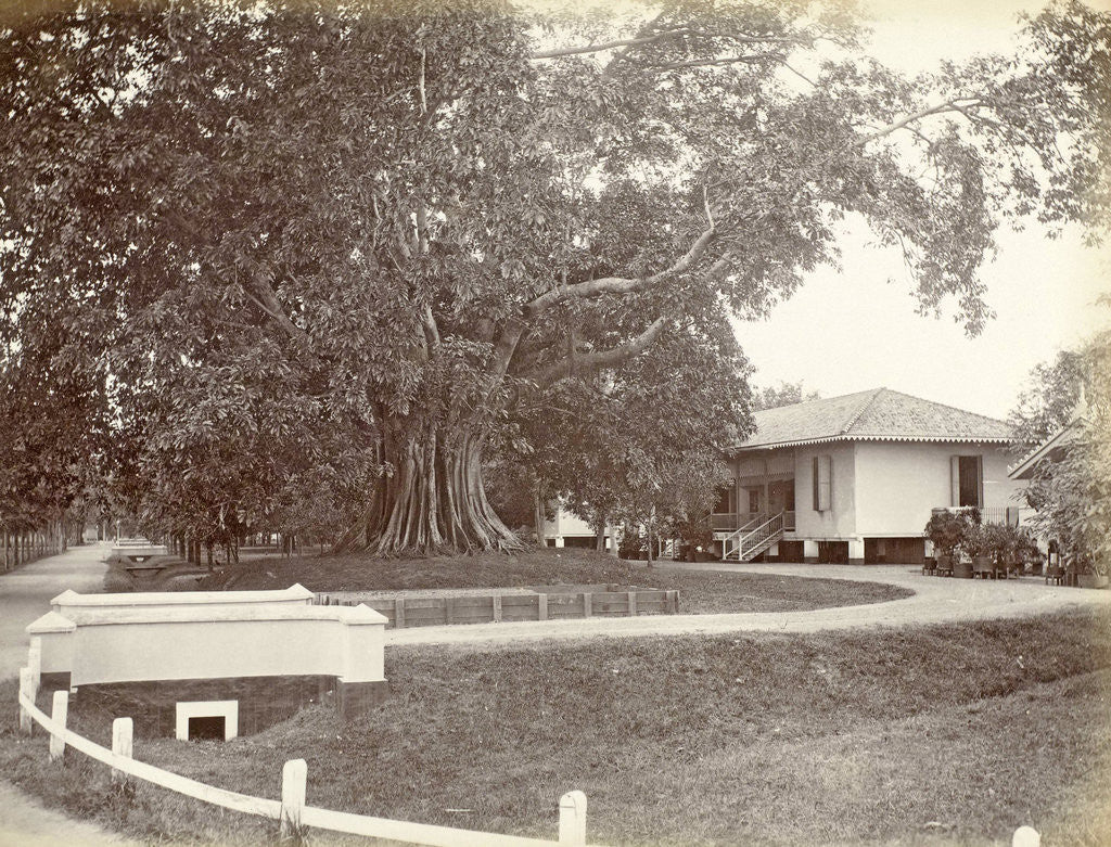 Detail of Driveway to a villa in the Dutch East Indies by Anonymous