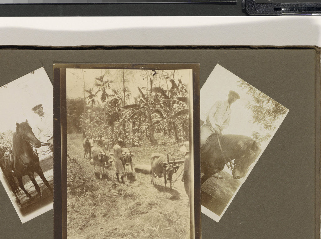 Detail of leper colony Dana Raja: people on horseback and harvest by Anonymous