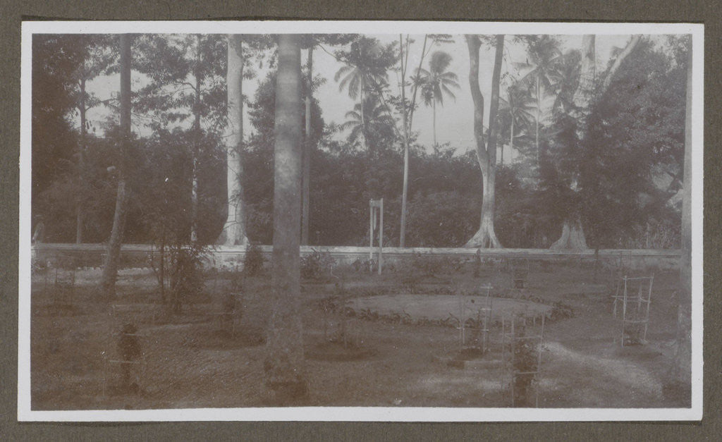 Detail of Trees and plants in a garden, probably belonging to a catering facility by Anonymous