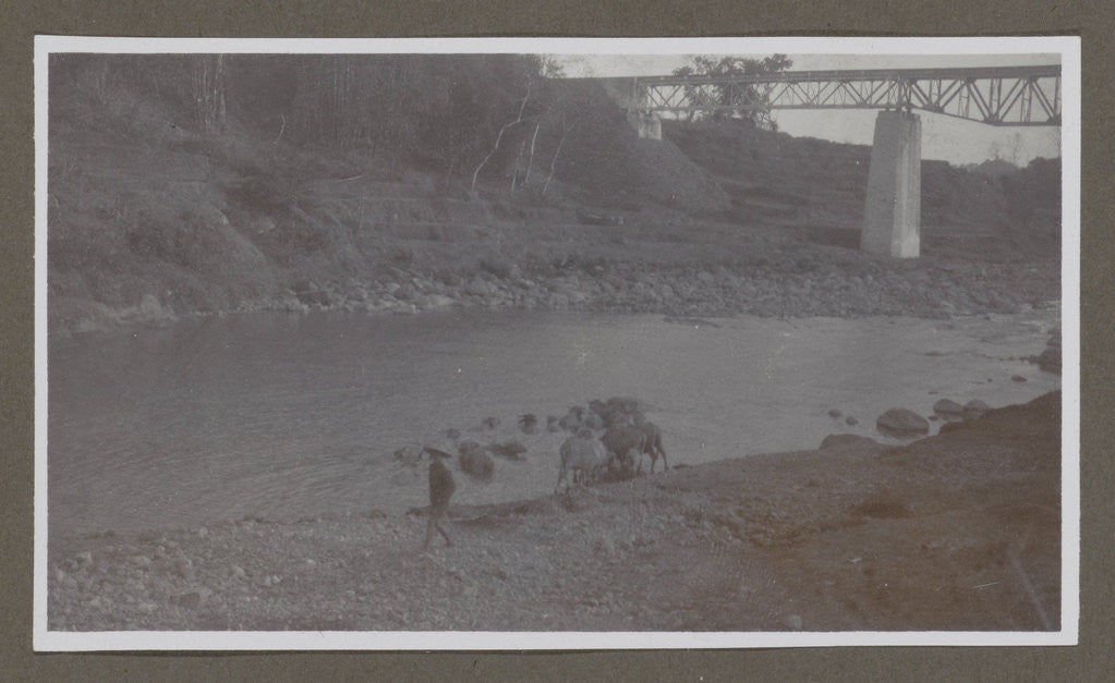 Detail of River with a bridge, a herdsman and drinking cattle by Anonymous